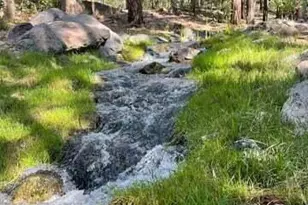 961 Ginnala Ln, Show Low, AZ 85901 - Photo 79