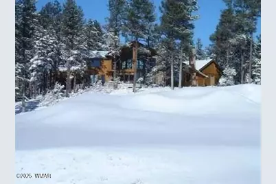 961 Ginnala Lane, Show Low, AZ 85901 - Photo 71