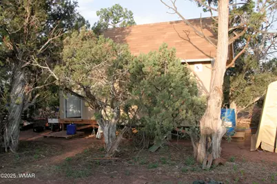 2529 Lone Star Road, Show Low, AZ 85901 - Photo 5