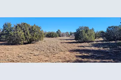 2529 Lone Star Road, Show Low, AZ 85901 - Photo 3