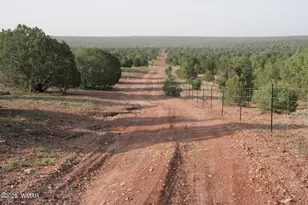 2529 Lonestar Rd, Show Low, AZ 85901 - Photo 1