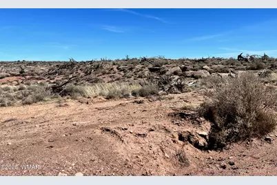 000 Churchill Road, Snowflake, AZ 85937 - Photo 11