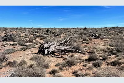 000 Churchill Road, Snowflake, AZ 85937 - Photo 9