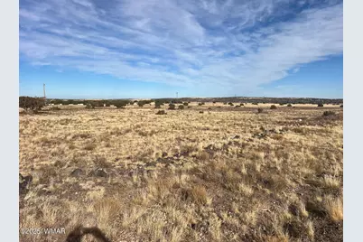 000 Cr5139, Concho, AZ 85924 - Photo 5