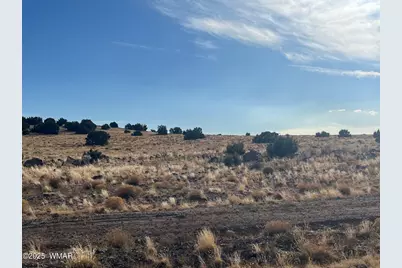 000 Cr5139, Concho, AZ 85924 - Photo 9