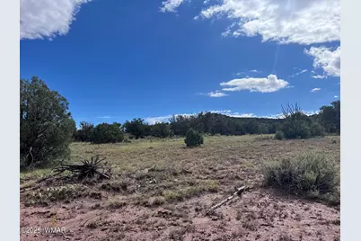 2837 Rebel Yell Road, Show Low, AZ 85901 - Photo 3