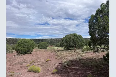 2837 Rebel Yell Road, Show Low, AZ 85901 - Photo 11