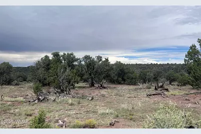 2837 Rebel Yell Road, Show Low, AZ 85901 - Photo 9