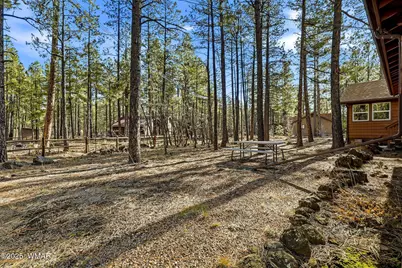 6362 Palomino Drive, Pinetop, AZ 85935 - Photo 11