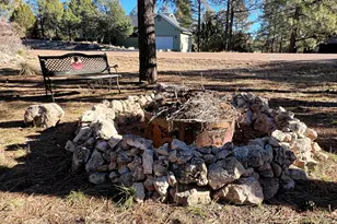 2240 Fairway Dr, Overgaard, AZ 85933 - Photo 49