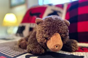 2240 Fairway Dr, Overgaard, AZ 85933 - Photo 27