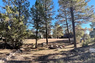 2240 Fairway Dr, Overgaard, AZ 85933 - Photo 47