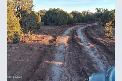 3 N 8716, Concho, AZ 85924 - Photo 3