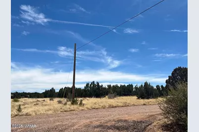 1985 Tee Street, White Mountain Lake, AZ 85912 - Photo 5