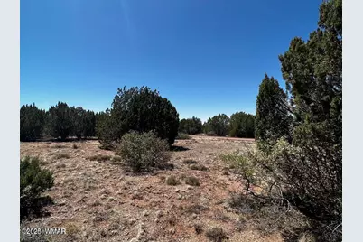 1985 Tee Street, White Mountain Lake, AZ 85912 - Photo 9