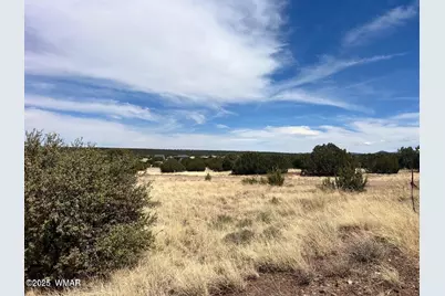 1985 Tee Street, White Mountain Lake, AZ 85912 - Photo 3