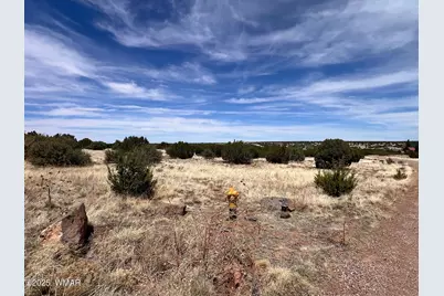 8542 Airport, White Mountain Lakes, AZ 85912 - Photo 3