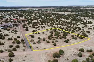 8542 Airport, White Mountain Lakes, AZ 85912 - Photo 1