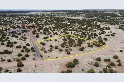 8542 Airport, White Mountain Lakes, AZ 85912 - Photo 5