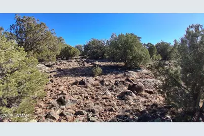 Tbd 201-32-006, Concho, AZ 85924 - Photo 3