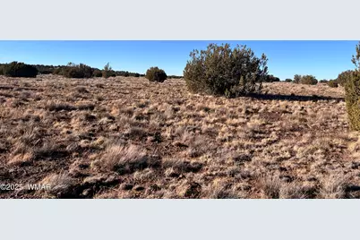 14 N3111, Vernon, AZ 85940 - Photo 3