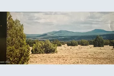 14 N3111, Vernon, AZ 85940 - Photo 3