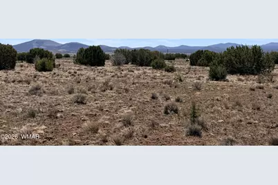 14 N3111, Vernon, AZ 85940 - Photo 3