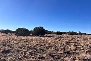 14 N3111, Vernon, AZ 85940 - Photo 1