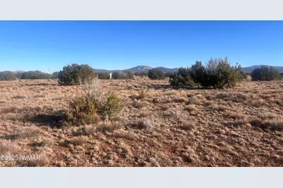 14 N3111, Vernon, AZ 85940 - Photo 5