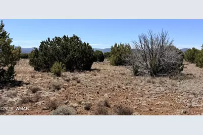 14 N3111, Vernon, AZ 85940 - Photo 5