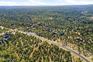 1864 Little Doe Trail, Heber, AZ 85928 - Photo 39