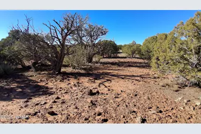 5 N8716, Concho, AZ 85924 - Photo 5