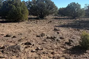 219 North 8716, Concho, AZ 85924 - Photo 23