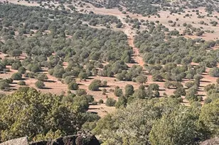 219 North 8716, Concho, AZ 85924 - Photo 19