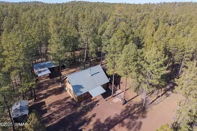 1442 Winter Pine Lane, Lakeside, AZ 85929 - Photo 31