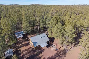 1442 Winter Pine Ln, Lakeside, AZ 85929 - Photo 31