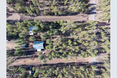 1442 Winter Pine Lane, Lakeside, AZ 85929 - Photo 27