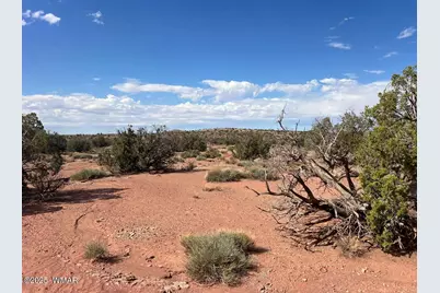 51 N9087, Concho, AZ 85924 - Photo 11