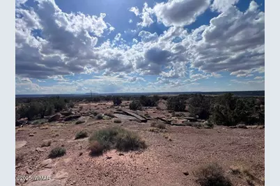 51 N9087, Concho, AZ 85924 - Photo 5