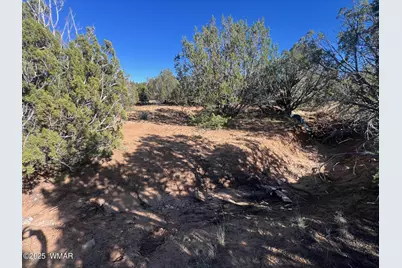 96 Cr3041, Concho, AZ 85924 - Photo 7