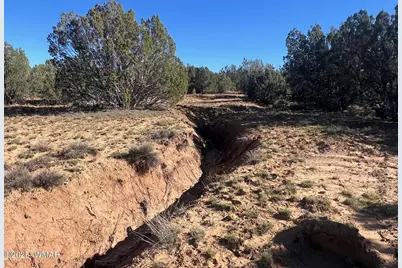 96 Cr3041, Concho, AZ 85924 - Photo 7