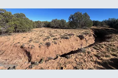 96 Cr3041, Concho, AZ 85924 - Photo 15