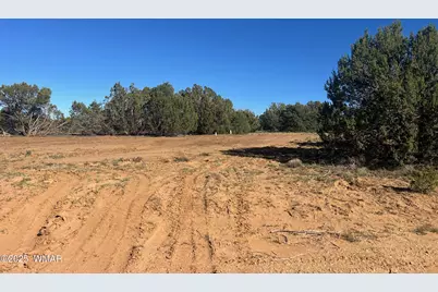 96 Cr3041, Concho, AZ 85924 - Photo 9