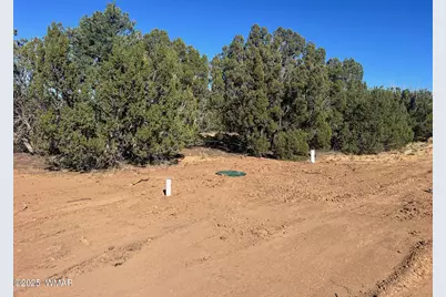 96 Cr3041, Concho, AZ 85924 - Photo 5