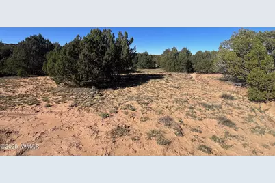 96 Cr3041, Concho, AZ 85924 - Photo 17