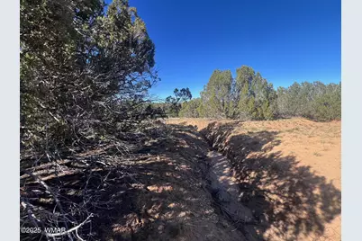 96 Cr3041, Concho, AZ 85924 - Photo 13