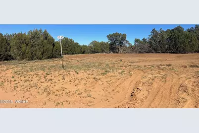 96 Cr3041, Concho, AZ 85924 - Photo 11