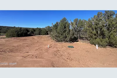 96 Cr3041, Concho, AZ 85924 - Photo 13