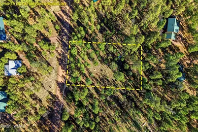 20 Co Rd 2067, Alpine, AZ 85920 - Photo 3