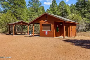 4881 Tatanka Dr Dr, Show Low, AZ 85901 - Photo 17